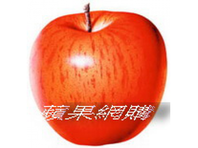 折合桌，塑鋼摺疊桌，ibm桌，折腳會議桌，折腳長條桌，折腳工作桌，拜拜用桌子哪買，拜拜用桌子哪買，大張的拜拜摺疊桌，拜拜摺疊桌